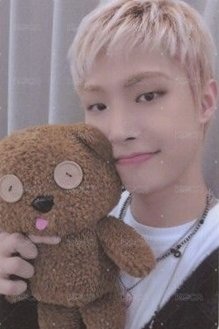 OUTLAW wm 幸運卡 小熊 ver. 正面