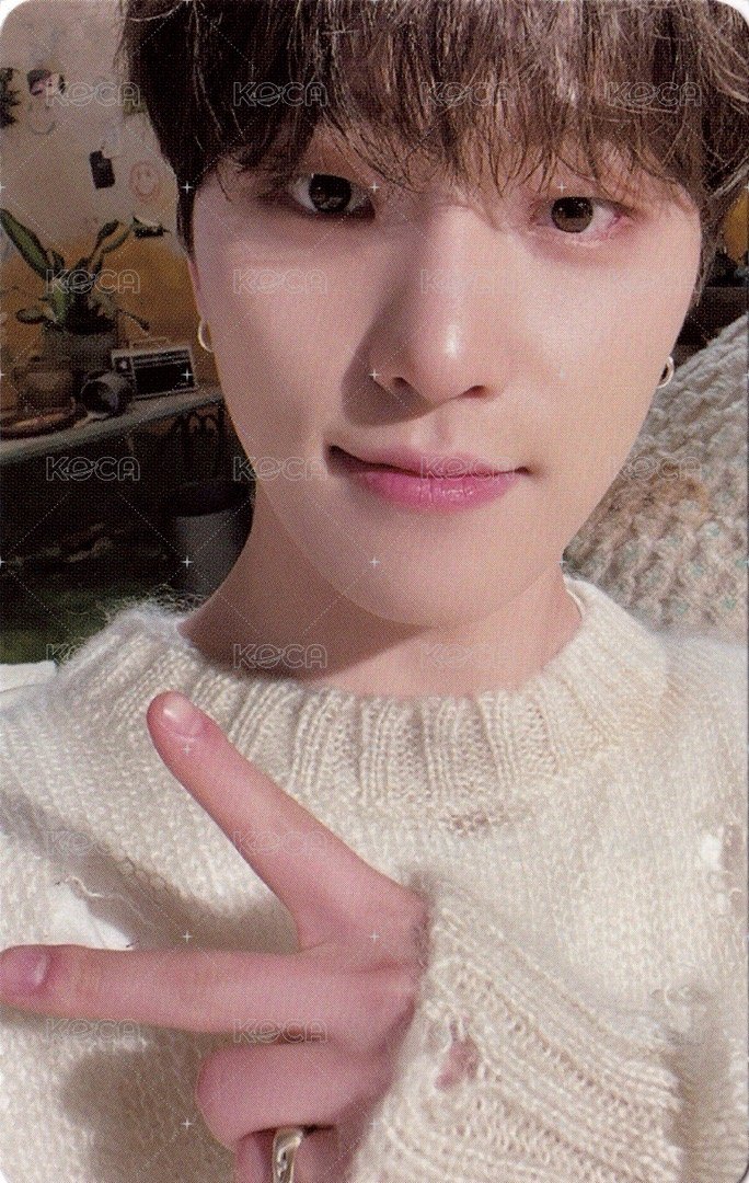 正四 專輯卡 正規四｜WVS電子專ver. 正面