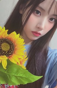 仲夏夜 sw 線上 3.0 簽售卡 向日葵