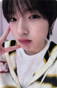 Steady itta 簽售卡 