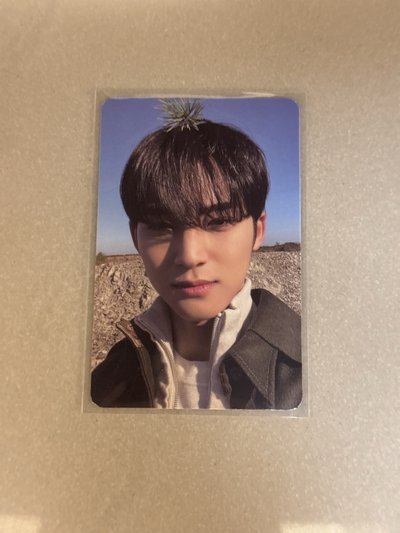 正四 頂草奎+油彩盤私服專卡