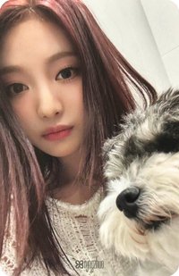 正規一 打歌卡 打歌寧