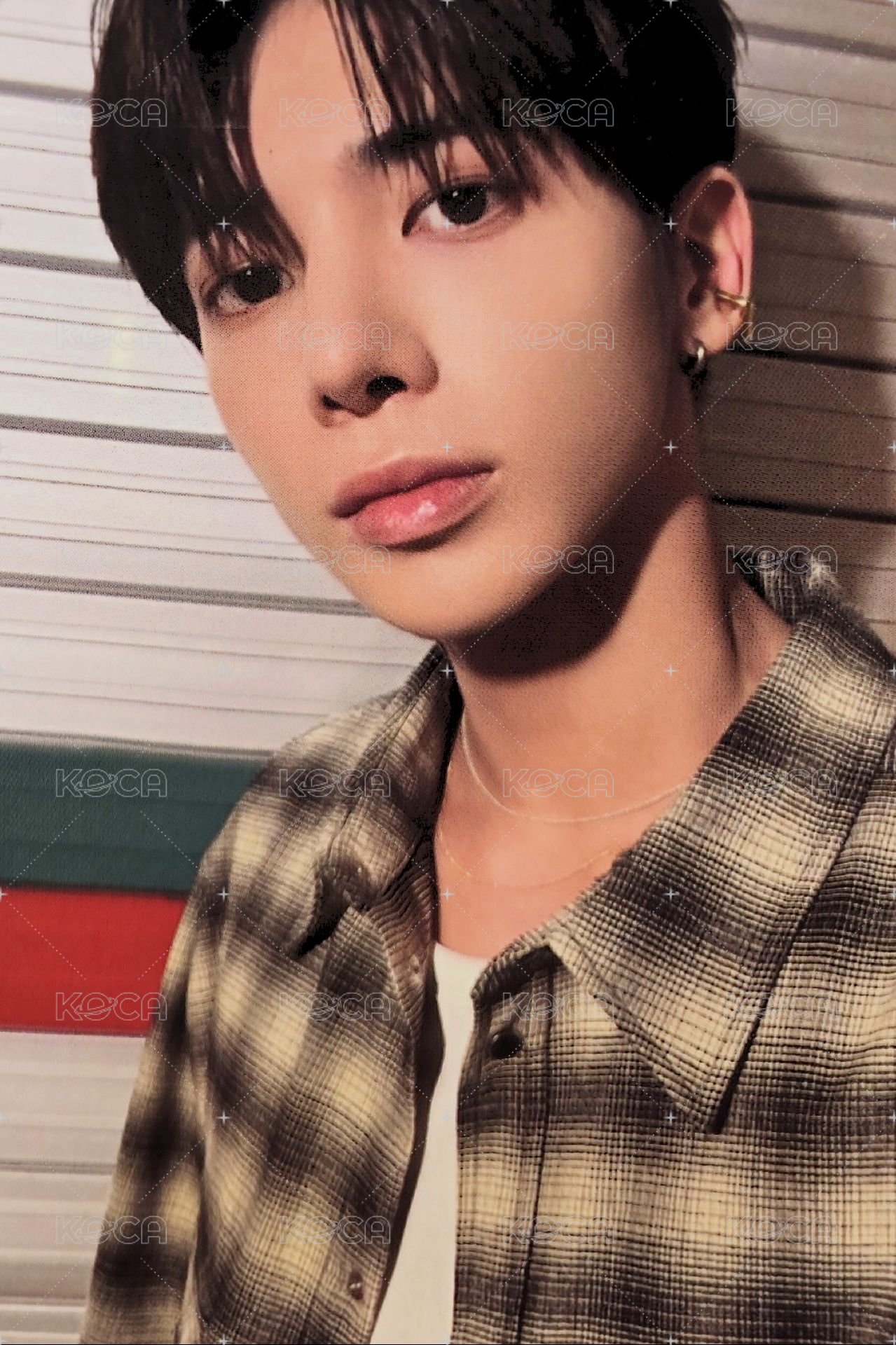 24年曆 年曆卡 卡 姜太顯 正面