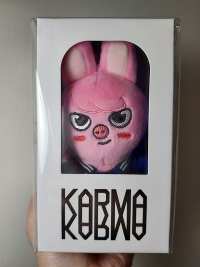 KARMA 電子專-SKZOO.ver_徐彰彬(DWAEKKI)