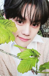 正規一 專輯卡 ICON ver.