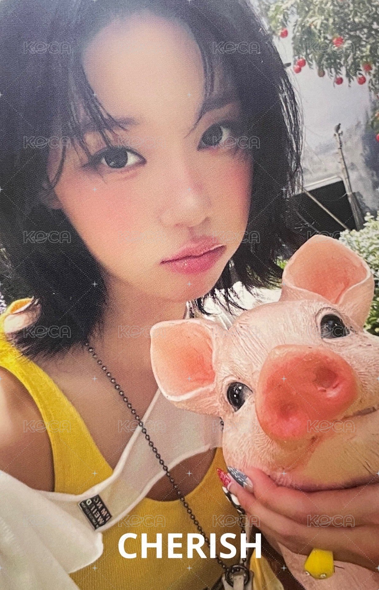 Rich Man ms 預售 特典卡 冬 正面