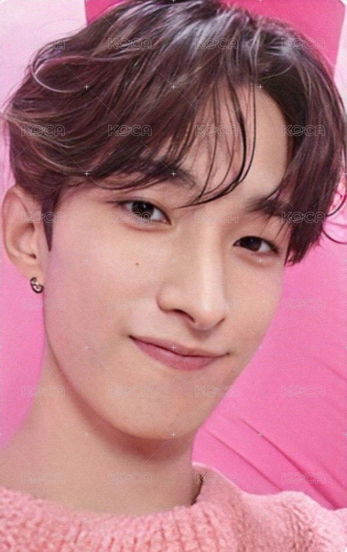 DREAM 日咖 特典卡 ｜WVSJP特典 正面