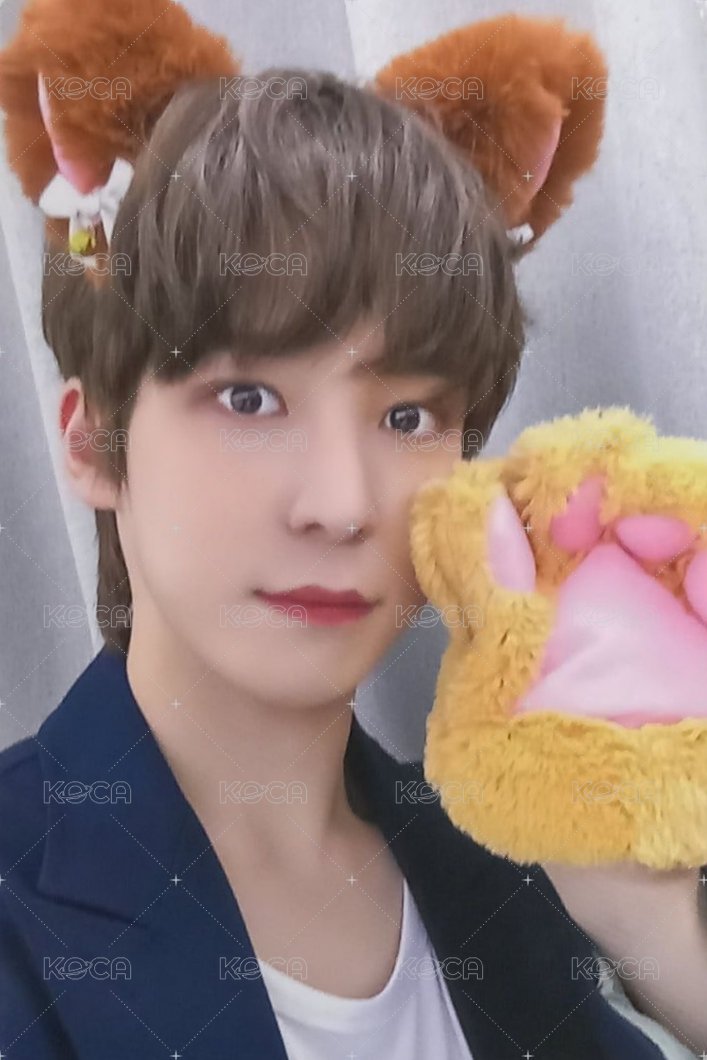 WILL ms 1.0 幸運卡  正面