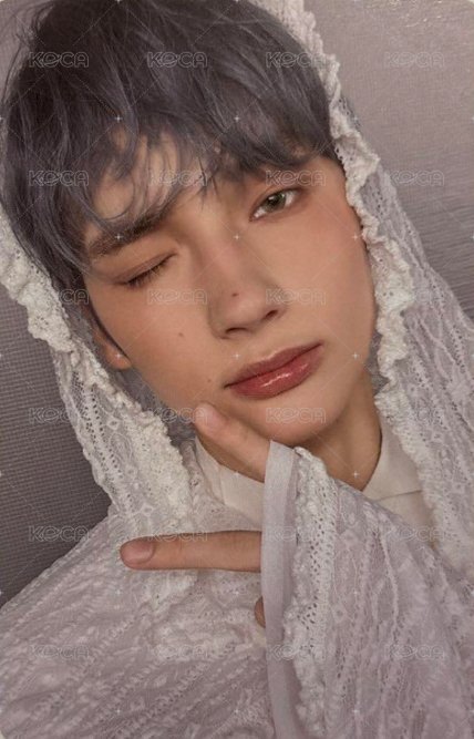 24’巡迴 演唱會 DVD / CD 卡 首爾安可 正面