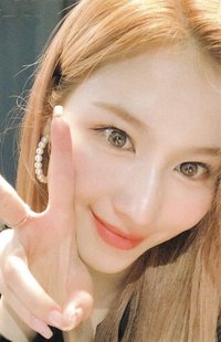 D’FESTA D社 周邊卡 