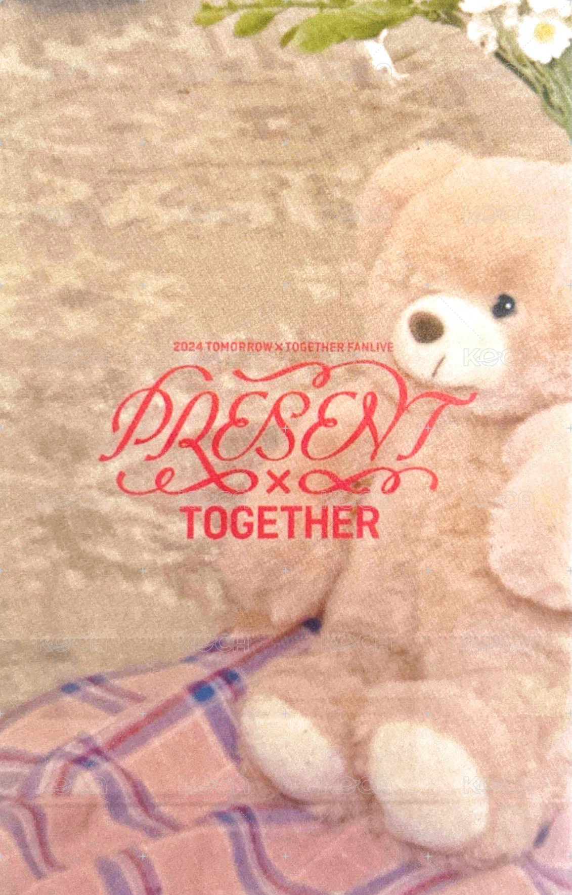 24 FANLIVE 韓國 入場卡 / 場限卡  背面