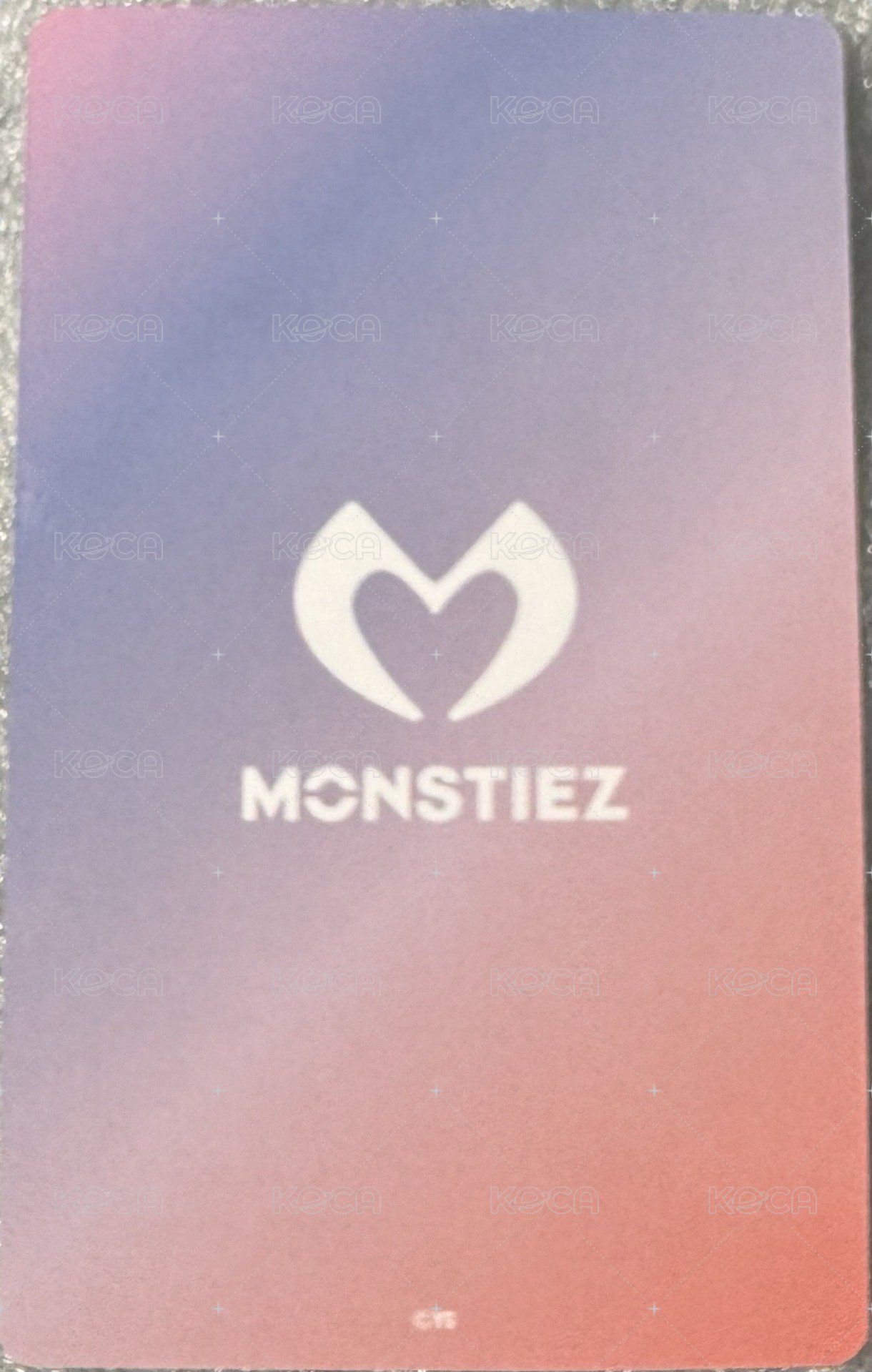 25世巡 周邊卡 日本場周會員卡 塔 ver.B 背面