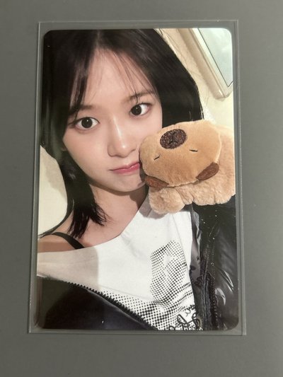 IVE yzy卡皮巴拉安（中文卡背）