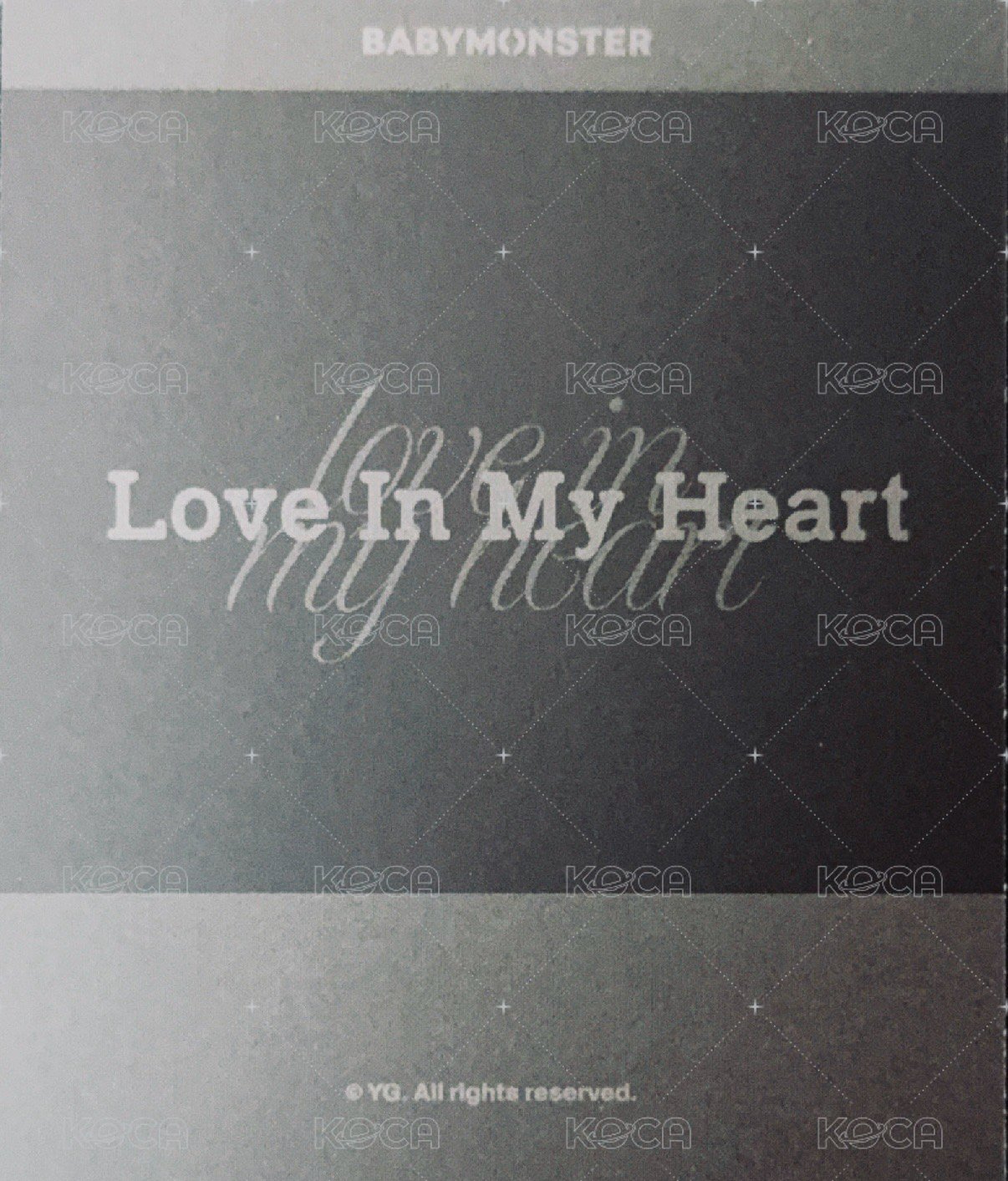 25’世巡 wvs 周邊卡 場週拼圖拍立得 背面