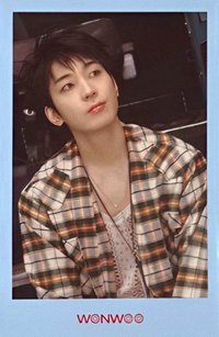 MINI11 周邊卡 午版拍立得卡