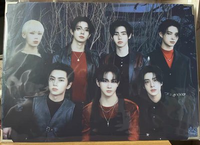 ENHYPEN WTL 快閃店 相框 禎元 全體