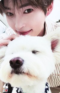 正規一 專輯卡 團封 狗狗ver.