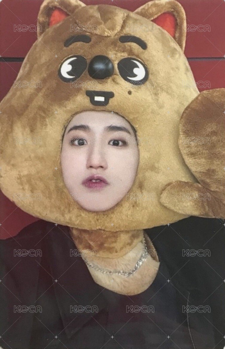 MAXIDENT jyp 特典卡  正面