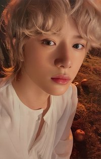迷六 專輯卡 單封 Light版