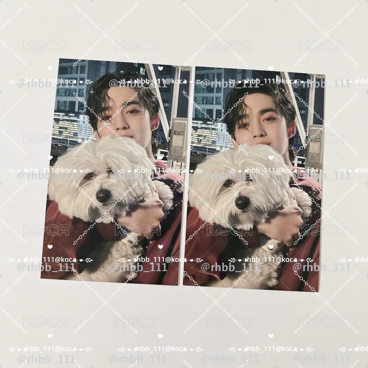 s.coups小卡 崔勝澈小卡 狗狗澈 紅薯澈 MINI10 入場卡 / 場限卡 ｜環球東京場限