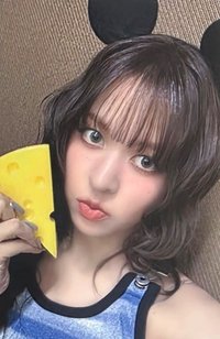 FORWARD ms 線上 3.0 簽售卡 奶酪