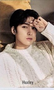 代言 代言卡 Huxley