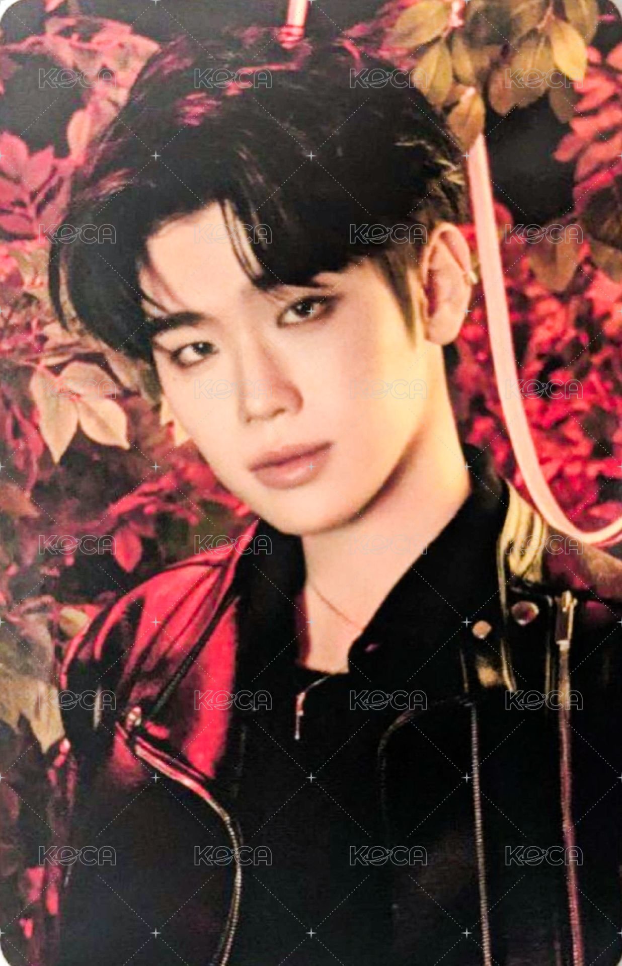 迷五快閃 周邊卡 卡盒卡 正面