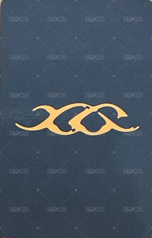 NEW DNA Amazon JP 特典卡 ver.X 背面