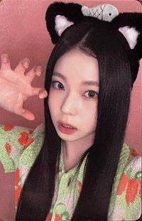 仲夏夜 wm 線下 3.0 簽售卡 小貓