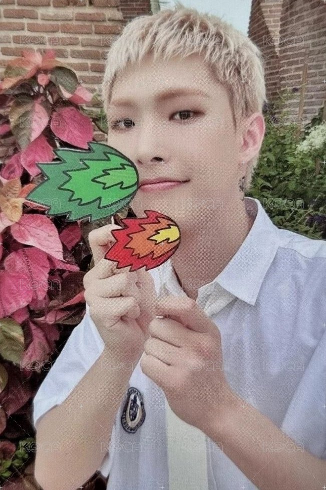 OUTLAW 專輯卡 Platform ver. 2.2 正面