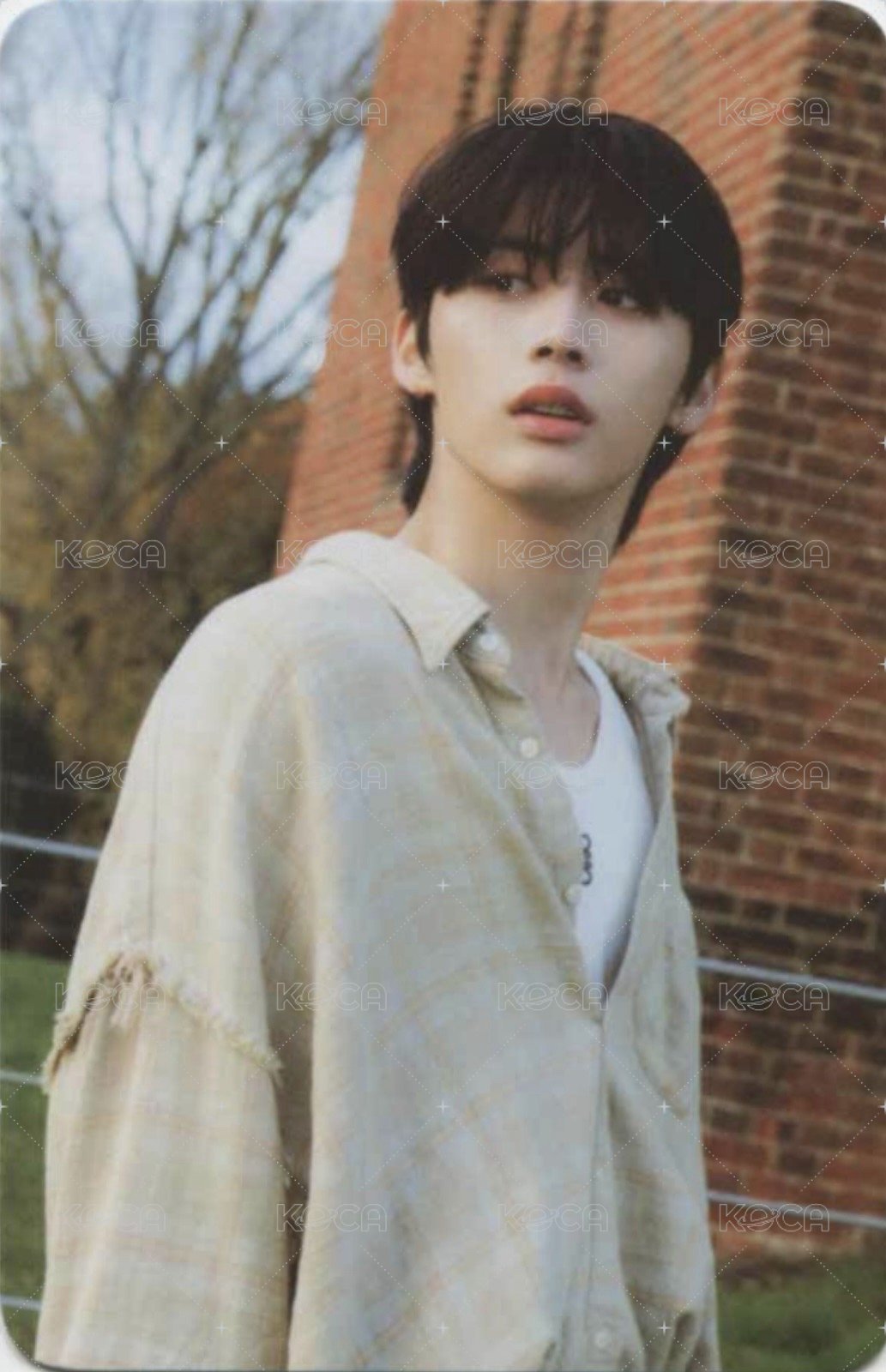 HOW? mk 預售 特典卡 4 正面