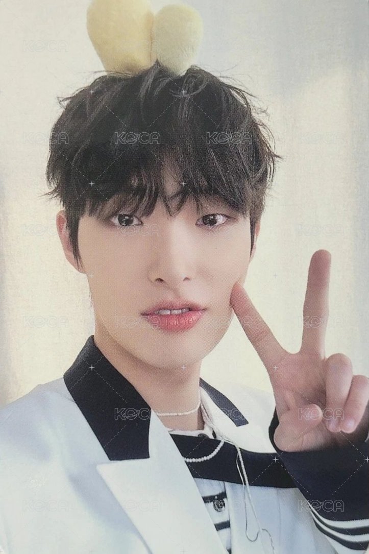 ANITEEZ IN ILLUSION 隨機卡  正面