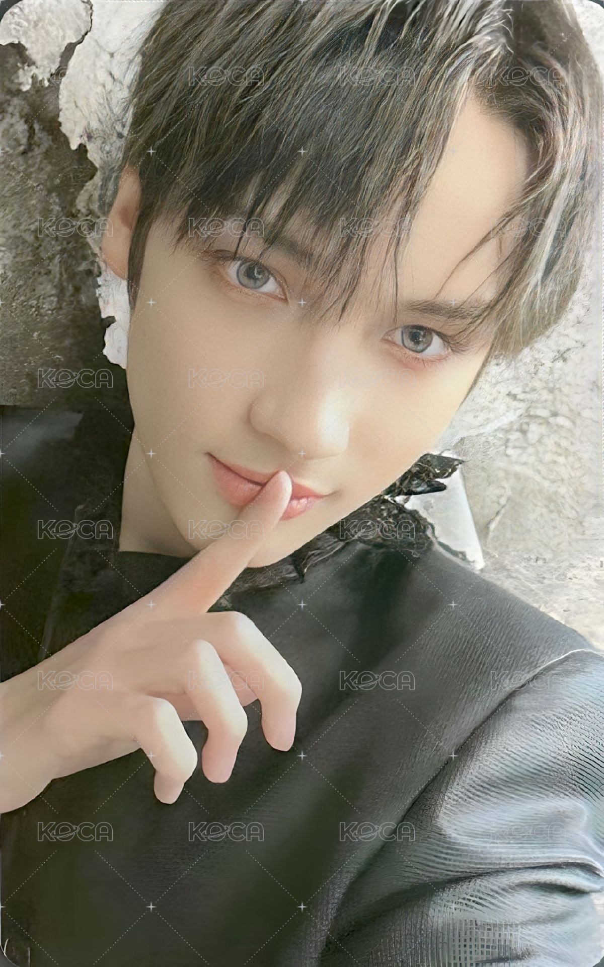 22’巡迴 演唱會 DVD / CD 卡 DVD版 正面