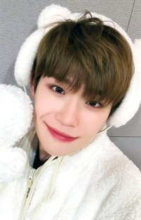 迷二 ms 特典卡 北極熊 ver.