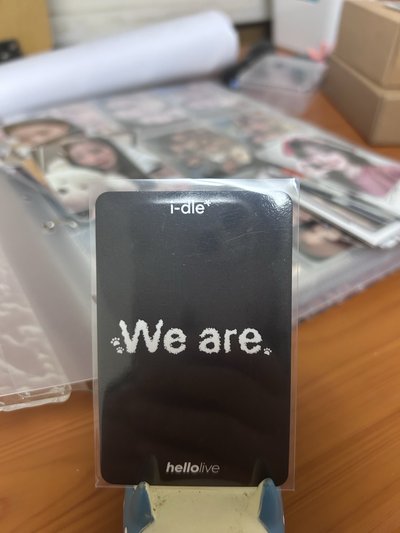 （捆200）迷八 hl 2.0 狗狗刷