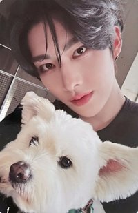 正規一 專輯卡 團封狗狗