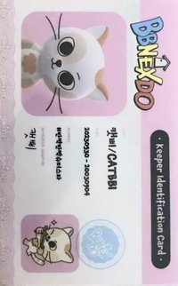 BBNEXDO 入場卡 / 場限卡 韓國線下快閃 CATBBI