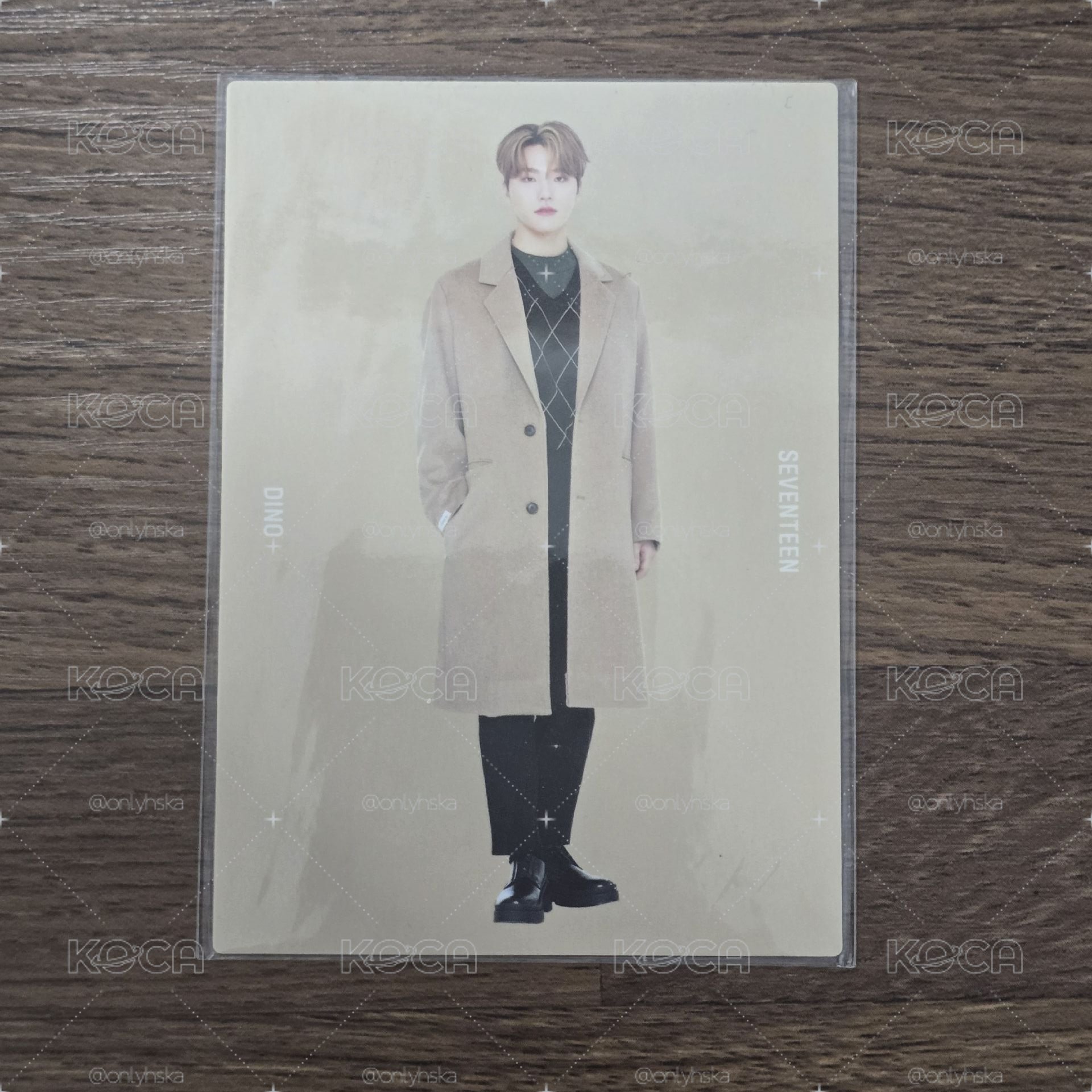 SEVENTEEN Dino 2020 WINTER 日本 卡包卡