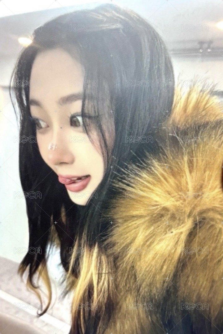 Drama 華納 特典卡 吉 正面