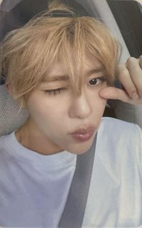 Songbird ia 線上 簽售卡 