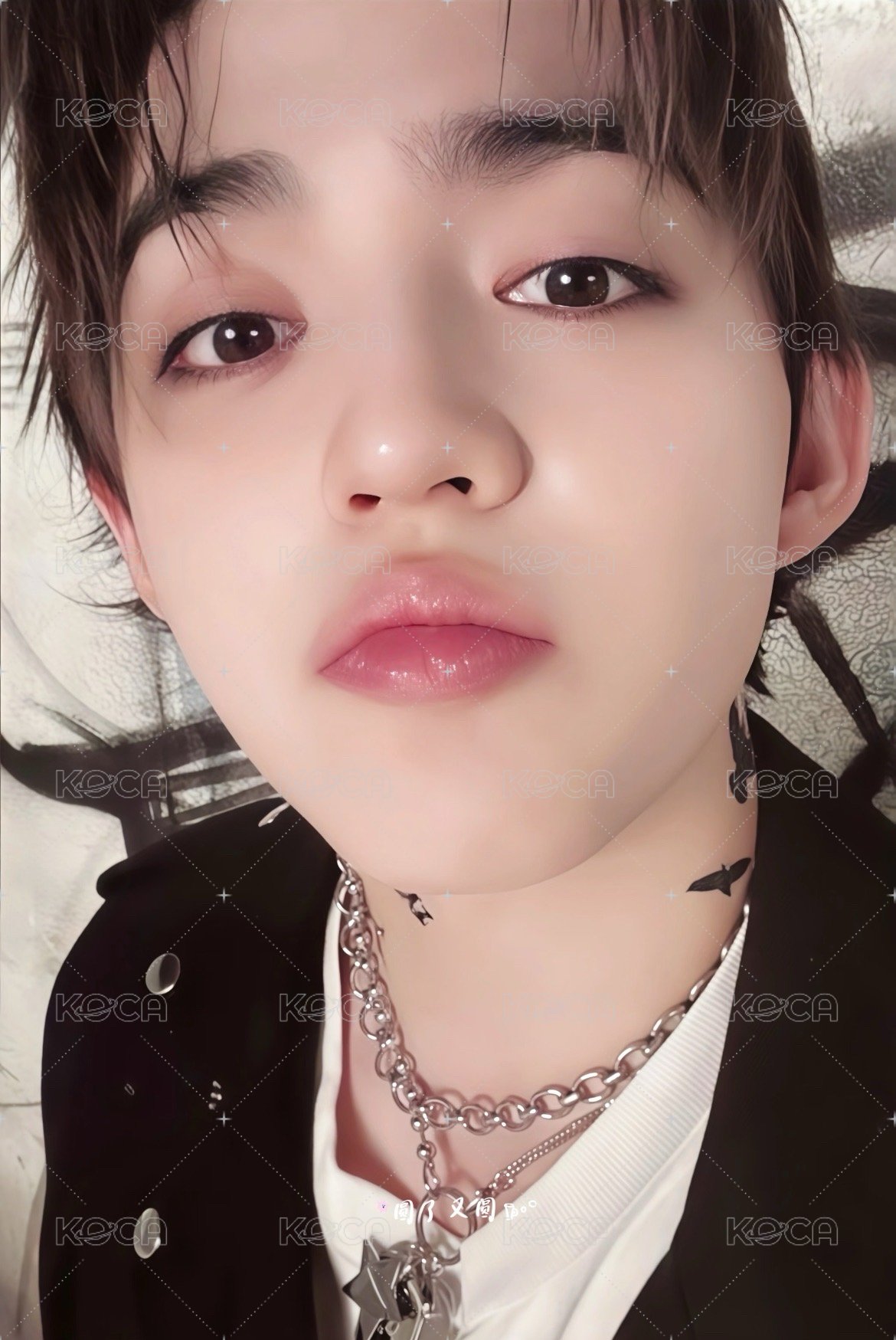 正五 專輯卡 正規五｜CARAT ver. 正面