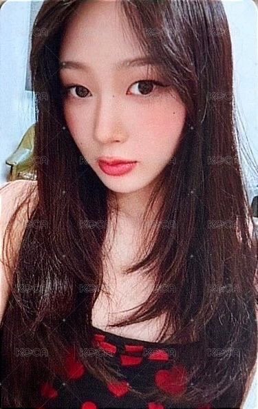 #potd展會 周邊卡 #potd泰國展會 小卡組吉 正面