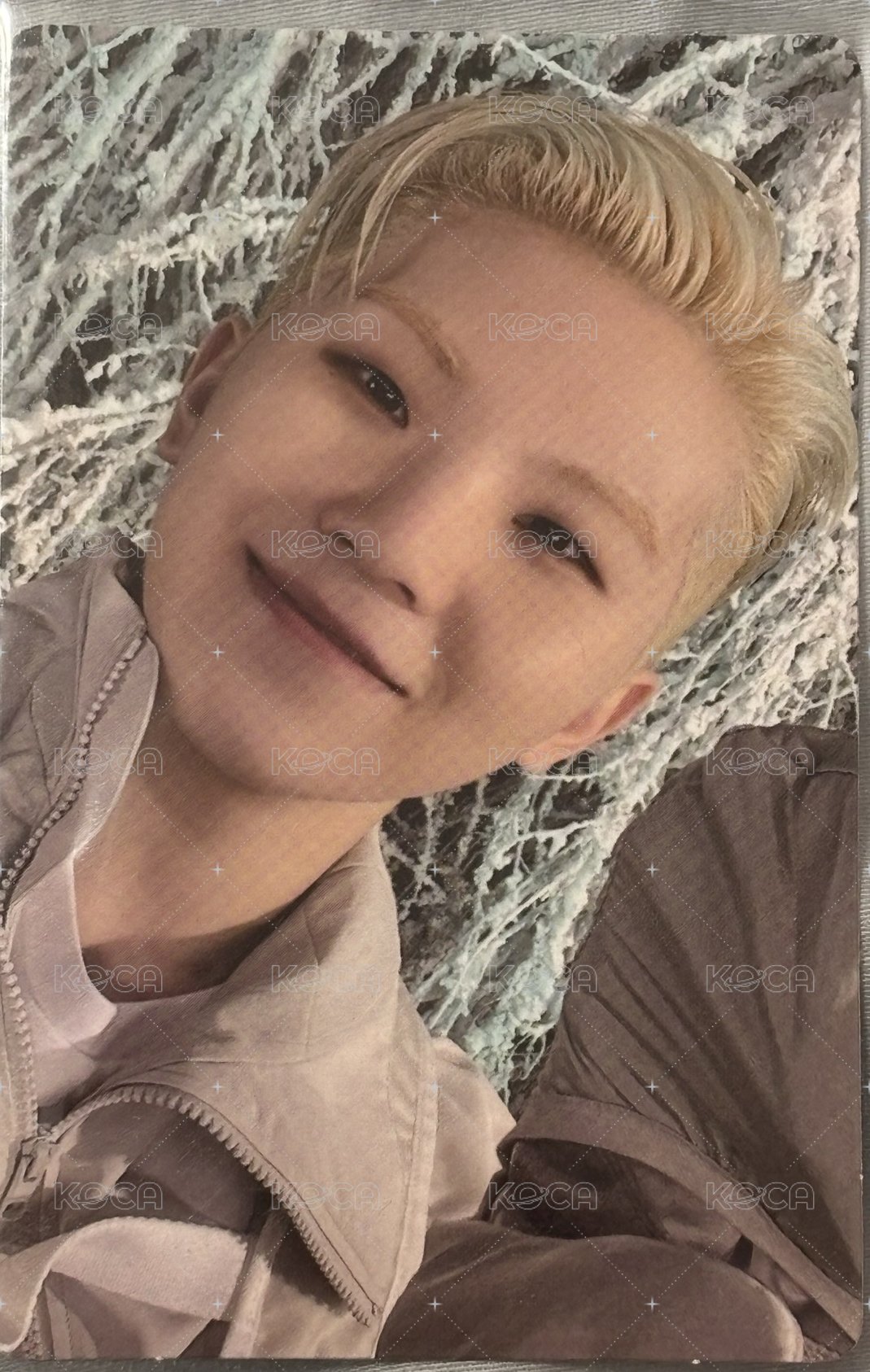 正四後續 專輯卡  正面