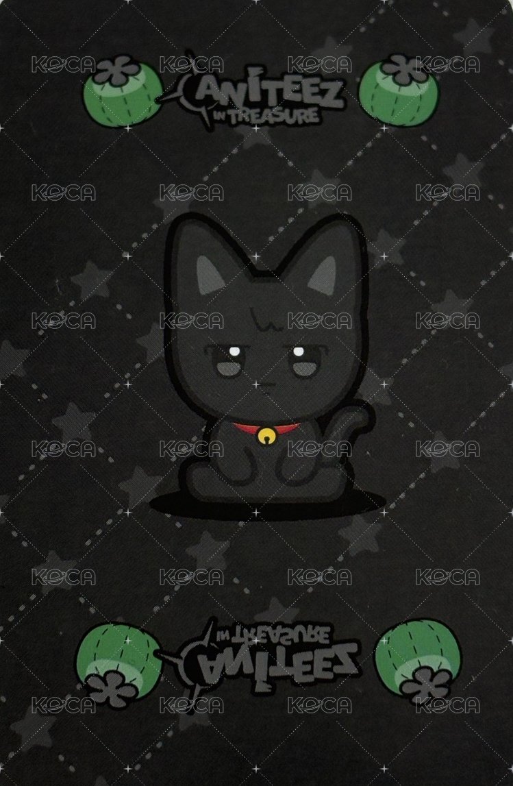 ANITEEZ IN TREASURE 周邊卡 ANITEEZ IN TREASURE 周邊卡 上海限定 髮夾卡 背面