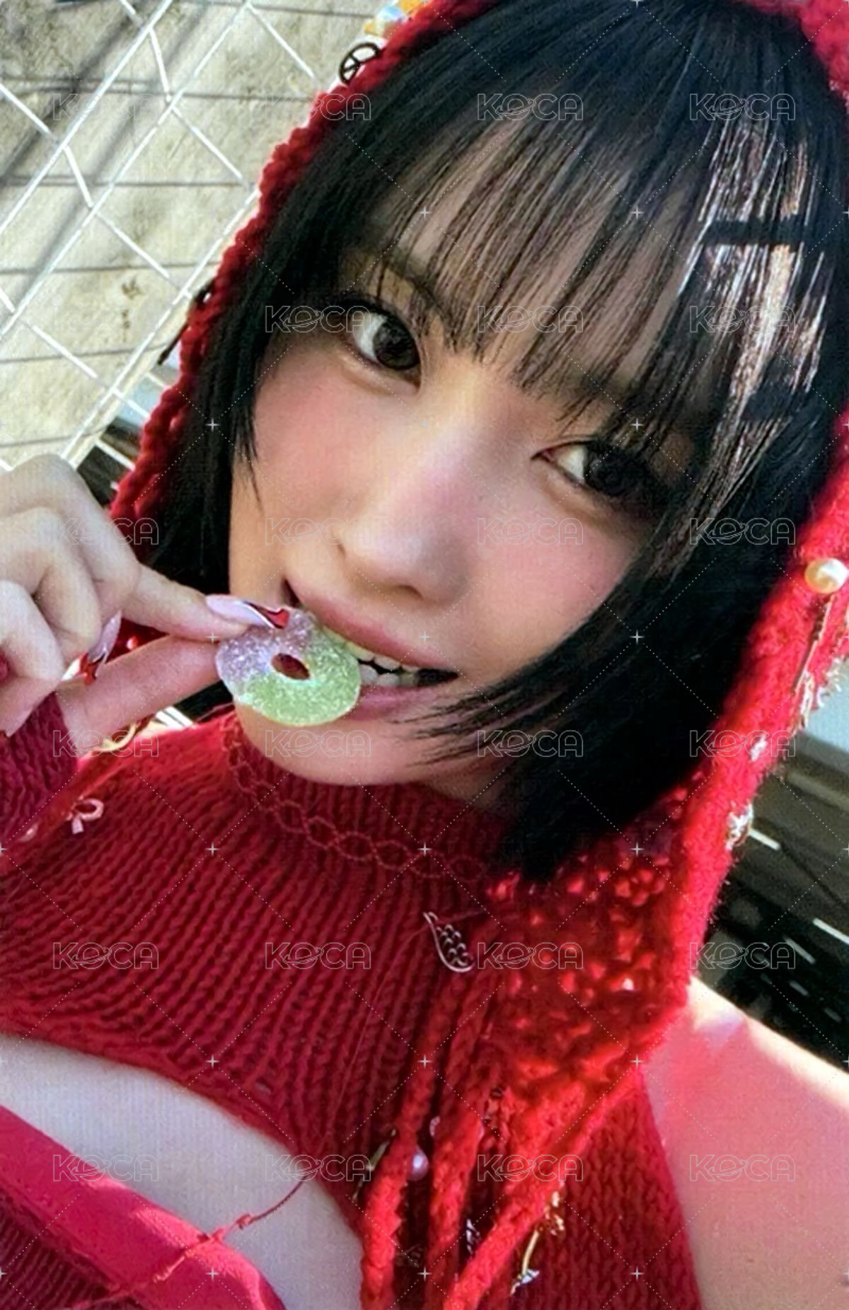 正規四 fans 預售 特典卡 ver.團封 正面