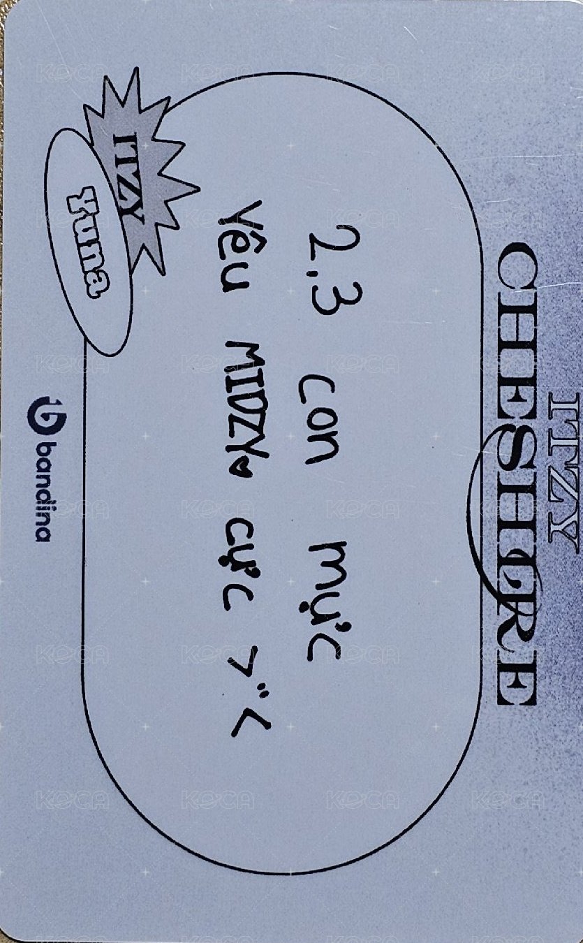 CHESHIRE Bandina 線上特典 特典卡  背面