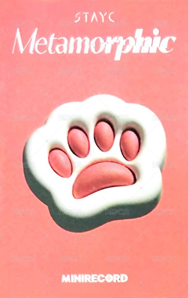 正規一 MINIRECORD 特典卡 貓掌ver. 背面