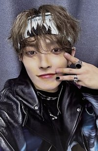 Will hello82 EU 特典卡 WHISKERS ver.