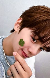 迷二 ju 幸運卡 幸運草 ver.