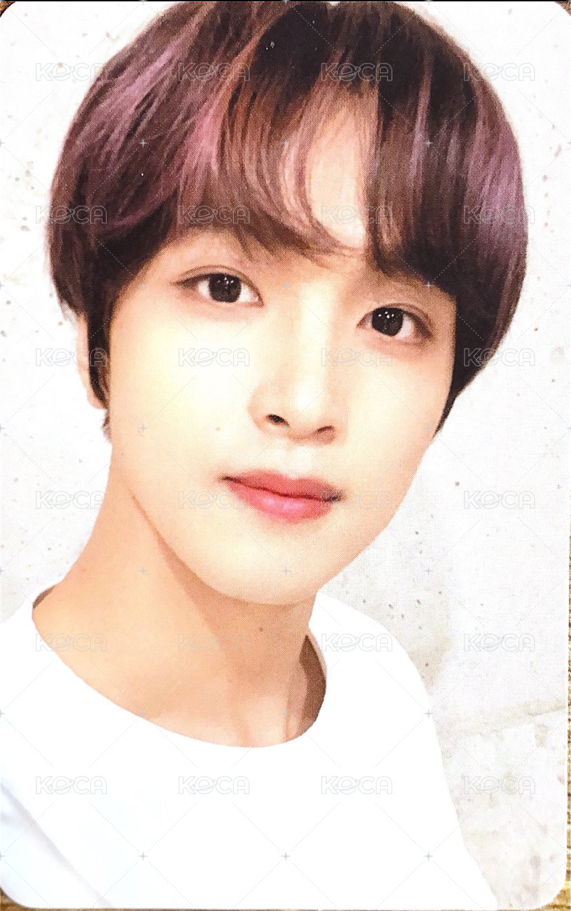 三麗鷗 周邊卡 隨機卡A 正面